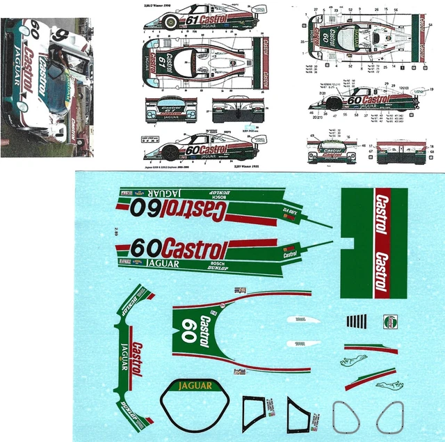 Decalcomanie Jaguar C-Type Carrera Panamericana 1954 - Varie Scale 1:18, 1:24, 1:32, 1:43