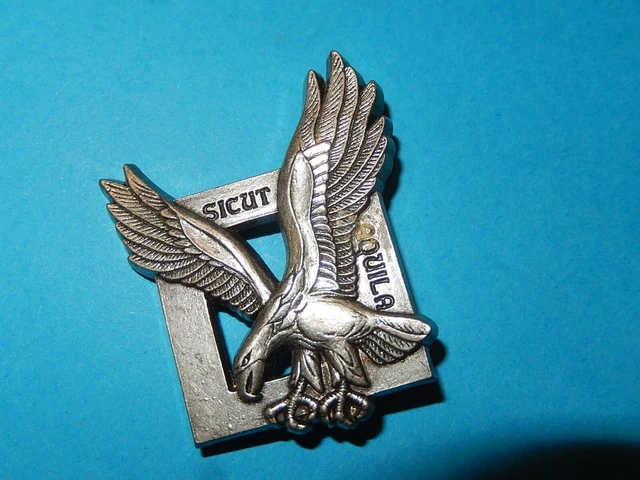 INSIGNE ARMÉE DE l air FUSILIERS PARA TEL L AIGLE COMMANDO Delsart A