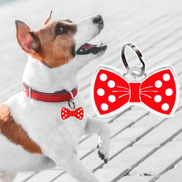 Colgante de identificación de mascota multipropósito a prueba de óxido tarjeta de nombre de mascota cachorro etiquetas de identificación antipérdida