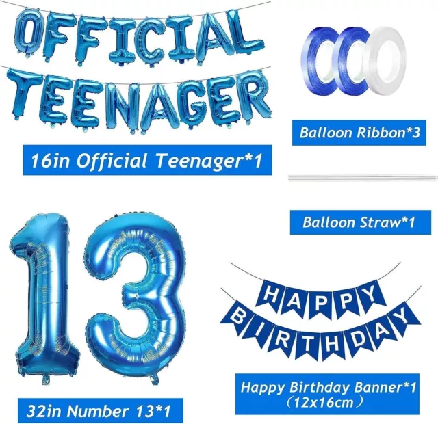 13Th Birthday Decorations Blue Official Teenager Balloons Banner OMG UR a Teena