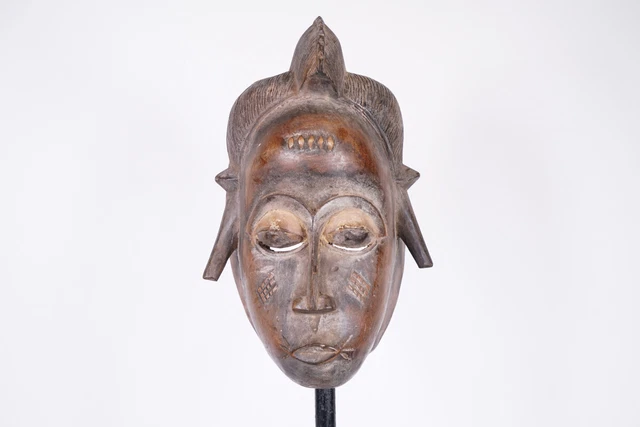 Gorgeous Baule Portrait Mask 14" - Ivory Coast - African Art