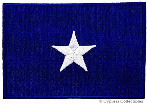 BONNIE BLUE FLAG PATCH TEXAS STAR SOUTHERN FLORIDA REPUBLIC embroidered iron-on
