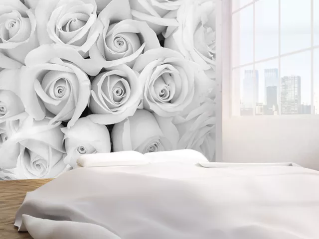 Beautiful Soft Rose black and white photo Wallpaper wall mural (74257734) Floral