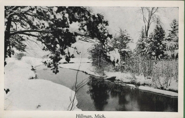 Vintage Michigan MI Real Photo RPPC Postcard Snow Covered Creek Scene Hillman