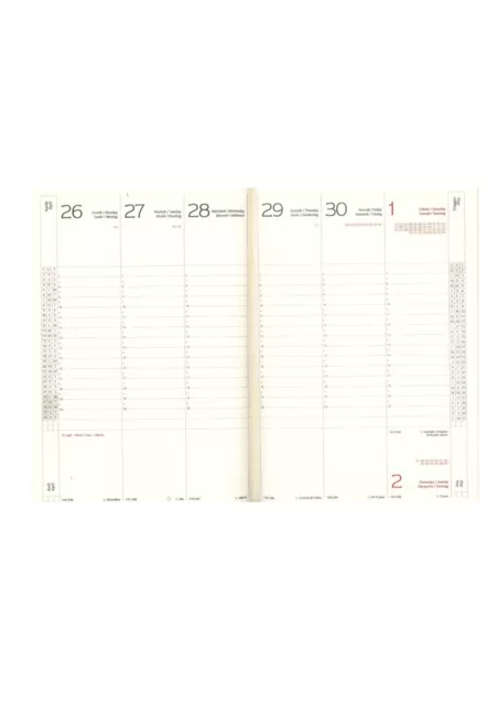 Agenda Cangini Filippi Settimanale Carta Avorio 2024 cm. 17x24