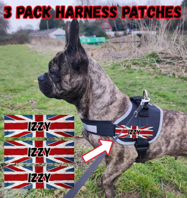 3 Personalized Name Patches For Dog Harness Union Jack Custom K9 UK