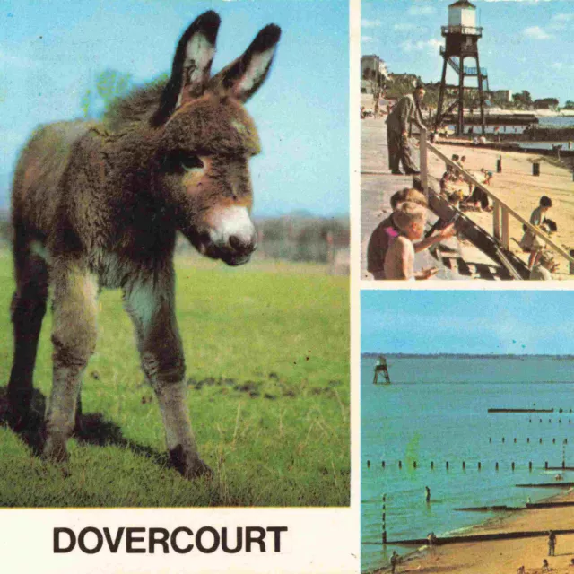 Dovercourt Essex Multiview Donkey - C.1970 Postcard T14