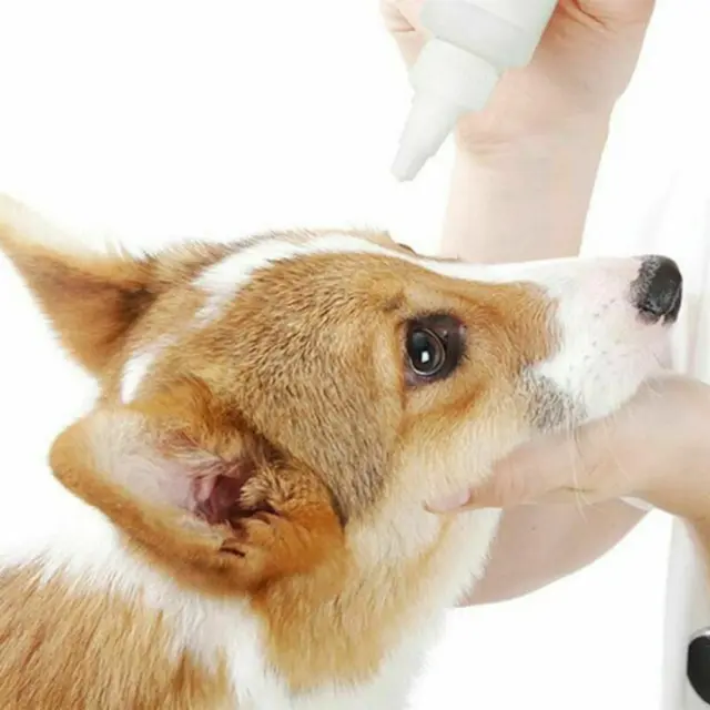 Pet Dog Cat Eye Drops Anti-Inflammatory Tear Stain Best Conjunctivitis Z8D9