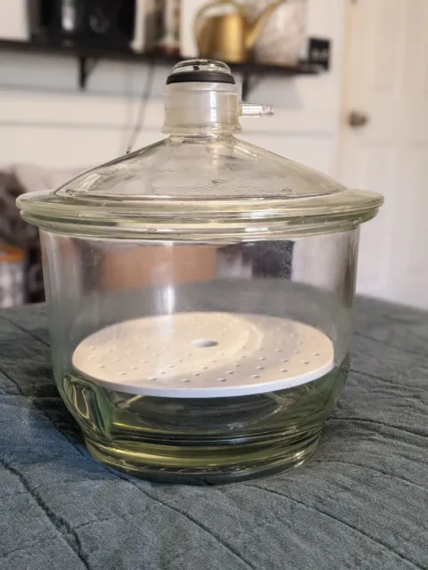 PYREX Glass Desiccator, 12" OD with 9" Coors plate with vacuum top