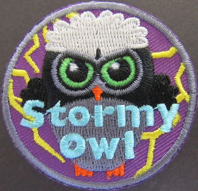 Brownie/Girl Guide:~ Stormy Owl ~ Fun Badge