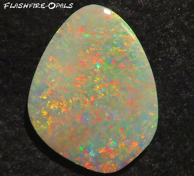 26.9ct. Investissement Gemme Dark Opale Red-Multicolor + Video! Flashfire-Opals