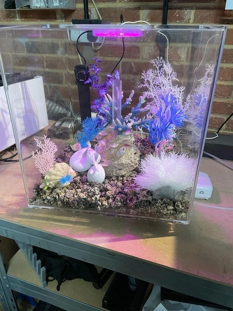BiOrb CUBE 60L Complete Aquarium Fish Tank MCR LED - Clear