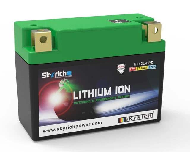 Skyrich Lithiu Battery HJTZ14S-FP : Aazon.co.uk