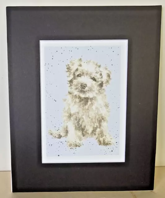 Maltese Puppy Print of Watercolor by Hannah Dale Matted 8 x 10 Inch 2