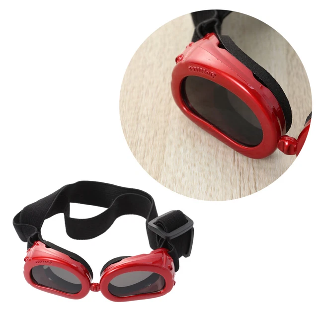 Pet Sunglasses Dog Sunglasses Folding Sunglasses Transparent Glasses The Dog