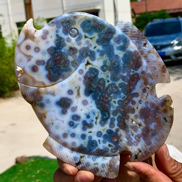 345G  Amazing Natural Ocean Jasper Crystal Carved Fish Jasper Halo Stone 6