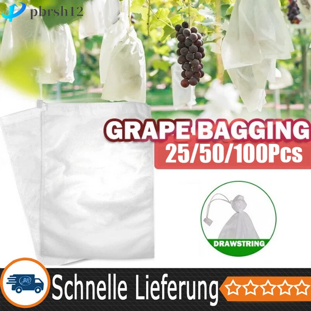 100 Stück Obstschutzbeutel – 20,3 X 30,5 Cm, Grün Mit Kordelzug – Netzbeutel Gegen Vögel & Insekten