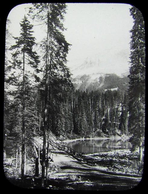 Glass Magic Lantern Slide YOSEMIITE NATIONAL PARK BRIDGE & LAKE C1910 PHOTO USA
