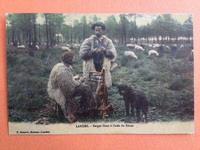 40 UN BERGER LANDAIS TRICOTANT 