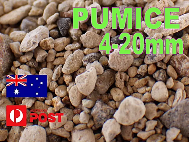 Premium Pumice Stone Hydroponic conditioner Horticulture Propagation Seed 4-20mm