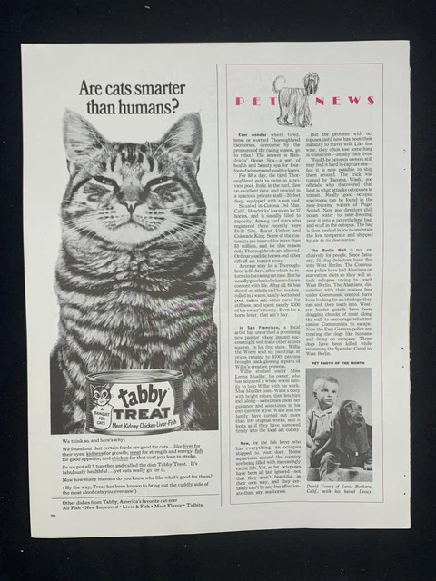 Magazine Ad* - 1965 - Tabby Treat Cat Food