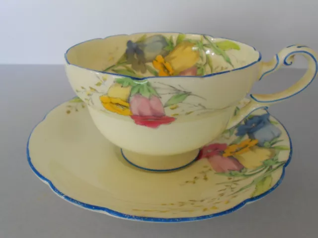 Paragon Fine Bone China "Canterbury Bell" Tea Cup & Saucer Set Very Decorative