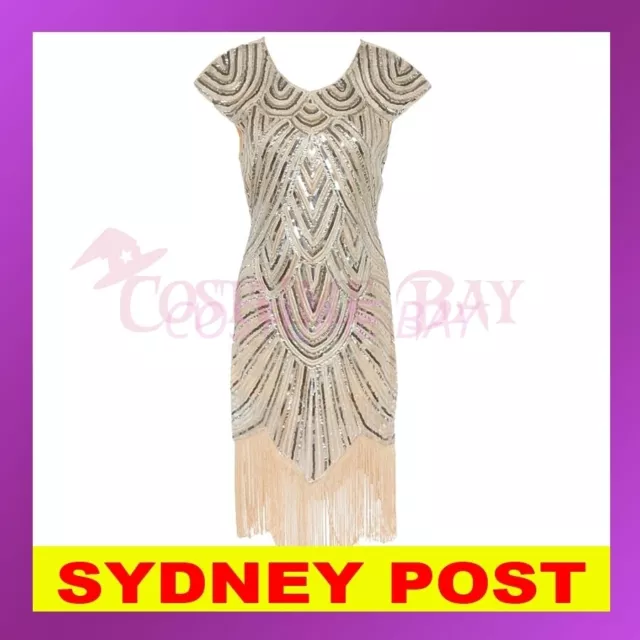 1920s Roaring 20s Charleston Flapper Gangster Gatsby Sequin Fancy Dress Costume