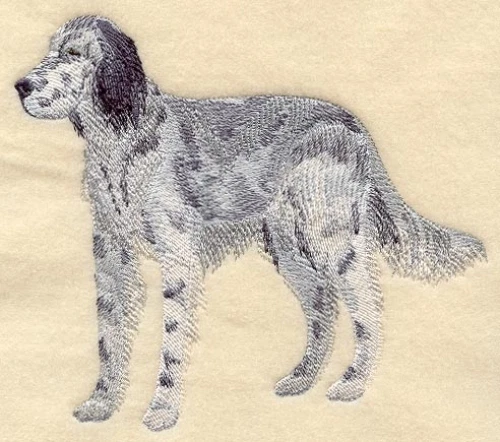 Embroidered Sweatshirt - English Setter C5206 Sizes S - XXL