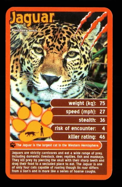 1 x info card deadliest predator Jaguar - R114