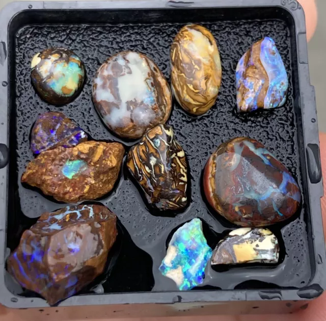 Yowah Boulder Opal Parcel 24ct Opals Australia Fossilised Opalised