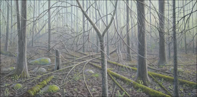 Frase Original Oil Painting Landscape Forest Spring Art DNR DU Duck Stamp Artist
