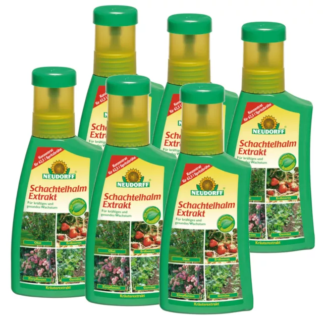 Neudorff Cola de Caballo Extracto 6x 250ML - Sano Crecimiento Plantas