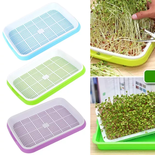 Stackable Multifunction For Grain Sprouter Tray for Hassle Free Sprouting