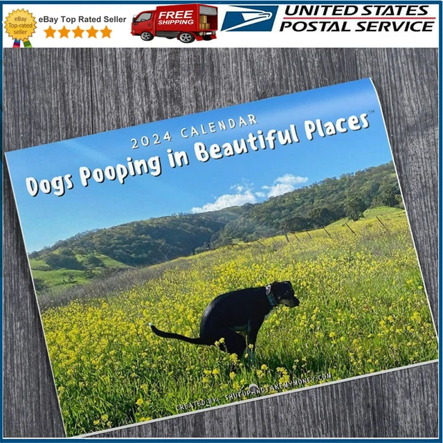 DOGS POOPING IN Beautiful Places 2024 Calendar Funny Christmas Holiday