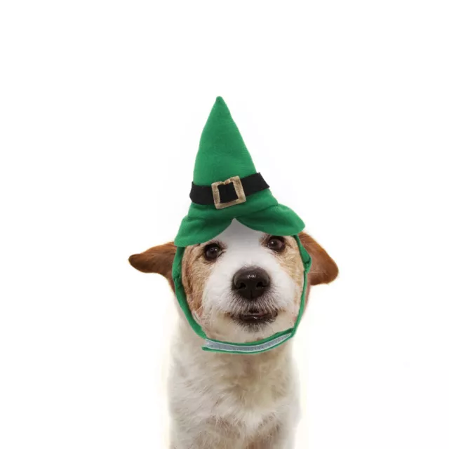 Divertenti Cappelli Per Cani Cappello Compleanno Gatti Capi Abbigliamento