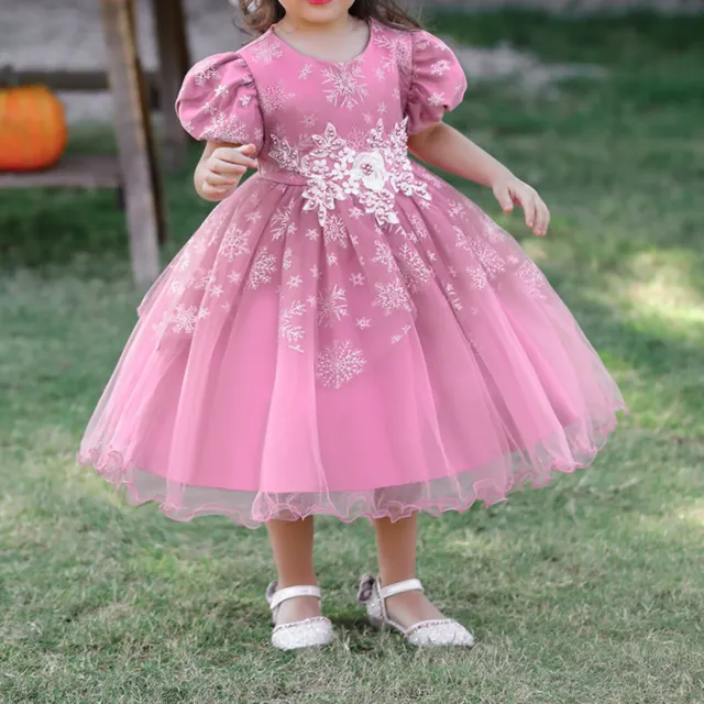 Baby Girls Dress Flower Embroidery Tulle Princess Dresses Birthday Ball Gown