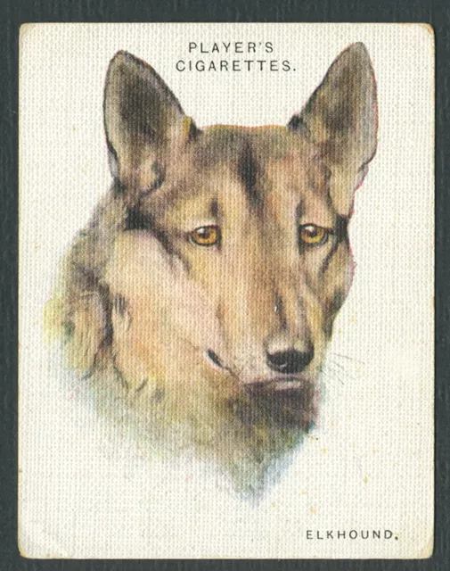 ELKHOUND JOHN PLAYERS 2nd SERIES DOG HEADS BY WARDLE 1929 LRG CIGARETTE CARD #2