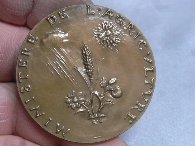 Médaille Ministère De L'Agriculture - Enseignement Agricole 1907 - Bronze