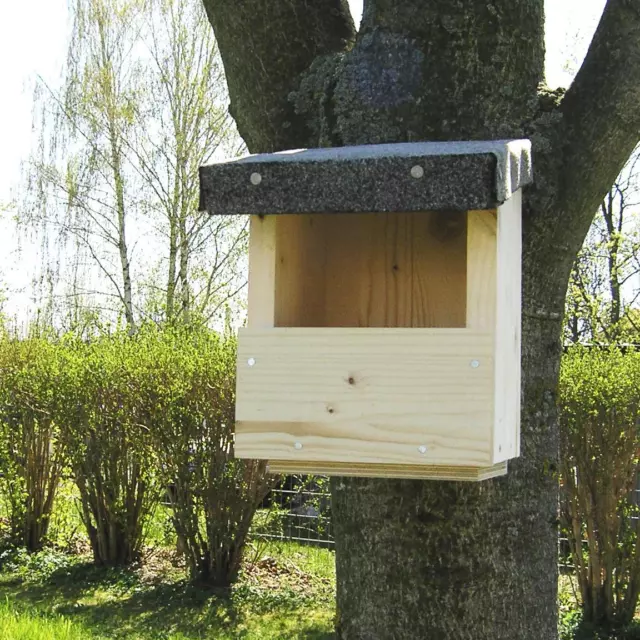 Nichoir pour chauve-souris habitable toute l'année aide à l'hivernage en  bois de pin