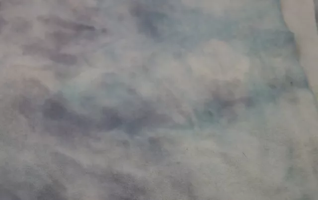 ALFOMBRA TEÑIDA A MANO VERDE NEBLINA LANA grasa 1/8 yarda verde azulado claro cur manchado