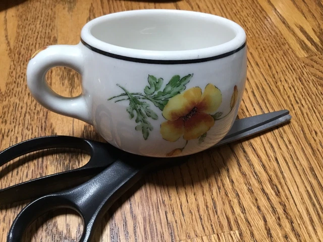 Vintage Southern Pacific Railroad Prairie Mountain Wildflower cup 2