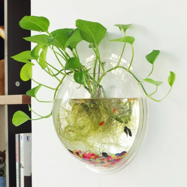 Acrylic Wall Mounted Hanging Fish Bowl Aquarium Tank Goldfish Hanger Plant