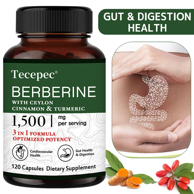 BERBERINE WITH CEYLON Cinnamon & Turmeric Healthy Cholesterol, Anti