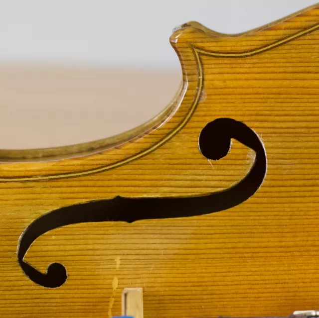 Very old labelled Vintage violin "Paolo de Barbieri" fiddle ヴァイオリン Geige 1903 Very old labelled Vintage violin "Paolo de Barbieri" fiddle ヴァイオリン Geige 1903