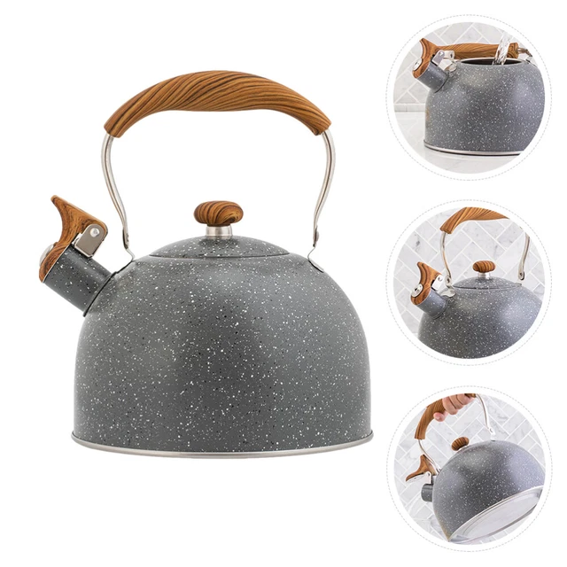 ACQUA DI CALDAIA Di Fischio Bollitore Fischio Bollente Bollitore EUR 57