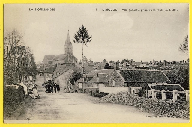 cpa Normandie BRIOUZE (Orne) Vue Animés prise de la ROUTE de BELLOU en HOULME
