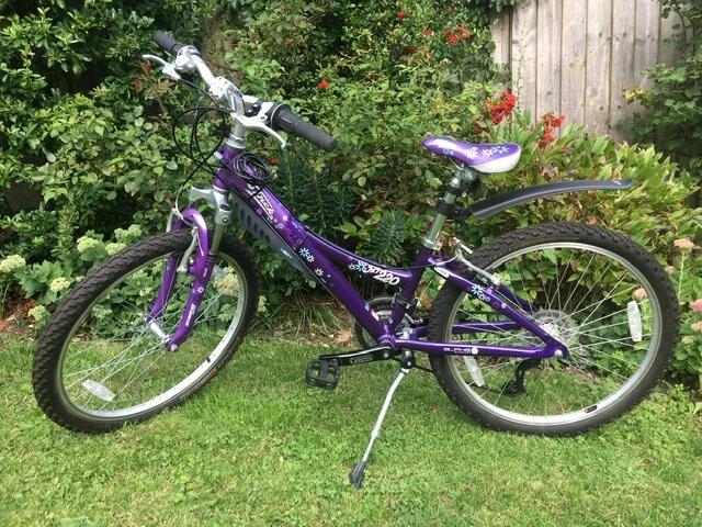 Trek mt deals 220 purple