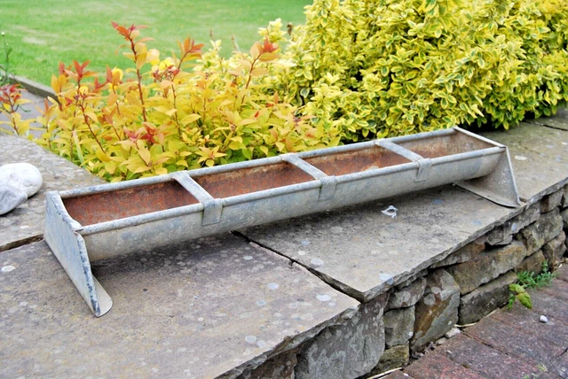 Vintage metal galvanised feeding drinking trough.