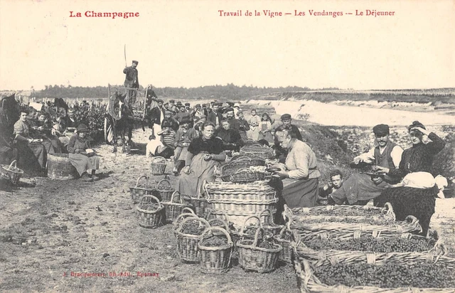 Cpa 51 La Champagne Travail De La Vigne Les Vendanges Le Dejeuner