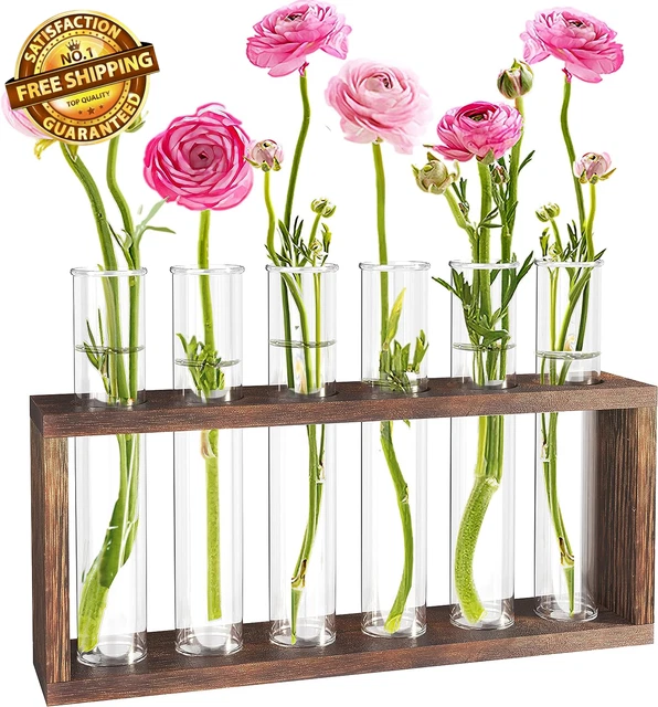 Plant Terrarium with Wooden Stand, Desktop/Wall Hanging Live Plant Propagation S